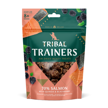 Tribal Trainers Salmon Quinoa & Blackberry Dog Treats 80g - 80g